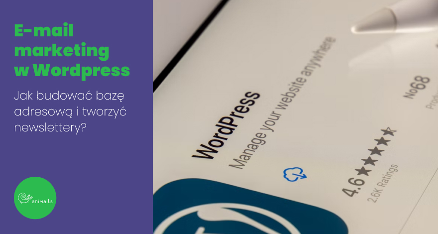 Email marketing w Wordpress - jak budować bazę adresową i tworzyć newslettery